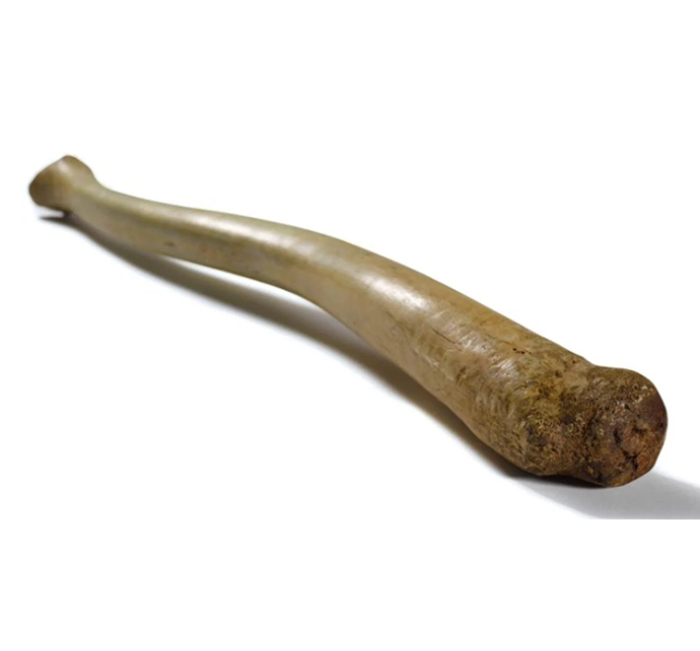 penisbone