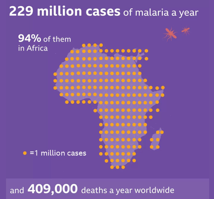 malaria cases