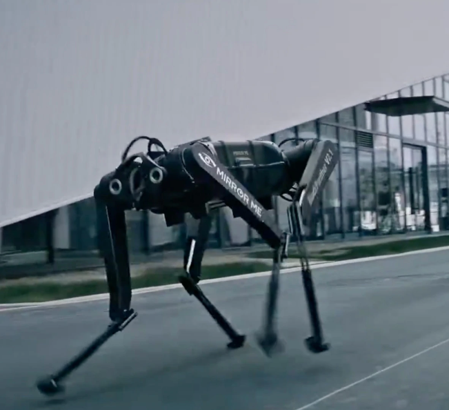 robodog